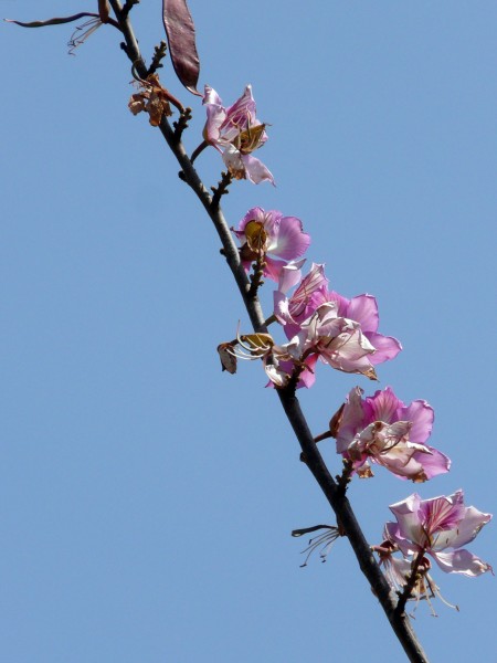 MA09040 copie.jpg